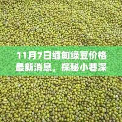 探秘缅甸绿豆情缘,最新价格与美味故事(11月7日更新)