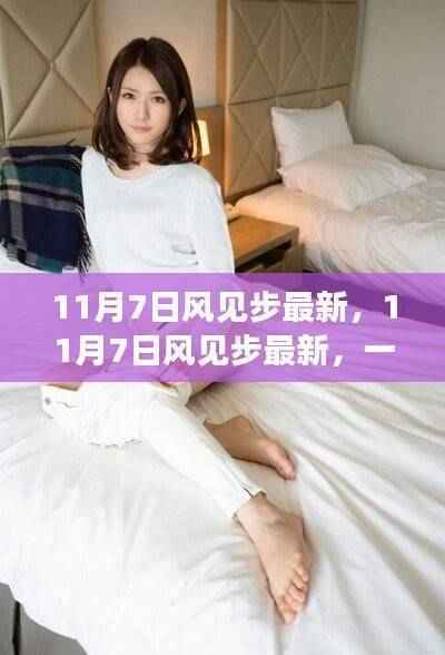 11月7日风见步最新,技术与社会的交汇点深度探讨