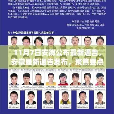 安徽最新通告解读,聚焦要点分析(附详细解读)