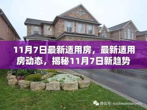 揭秘最新适用房动态,11月7日居住选择新趋势