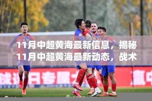 揭秘,中超黄海最新动态与战术调整,球员动态及未来展望(11月最新信息)