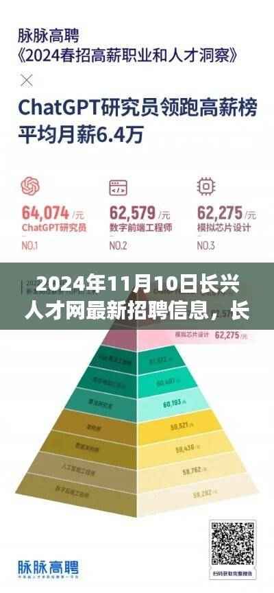 长兴人才网引领未来招聘趋势,最新招聘信息发布体验报告(长兴高科技招聘动态)