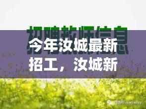 汝城新招工,与自然共舞,探寻内心宁静之旅