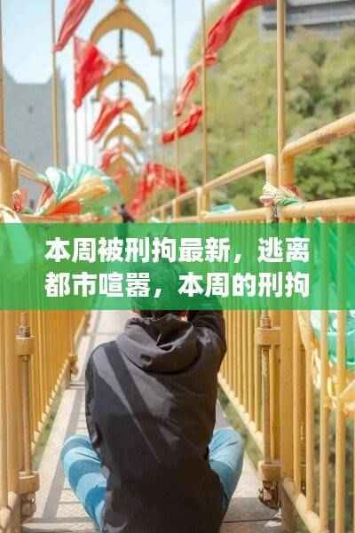 逃离都市喧嚣,本周刑拘时光下的自然美景探寻之旅