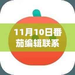 揭秘最新番茄编辑联系方式,11月10日更新版