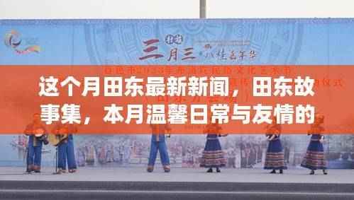 本月田东新闻热点,故事集里的温馨日常与友情的奇妙篇章