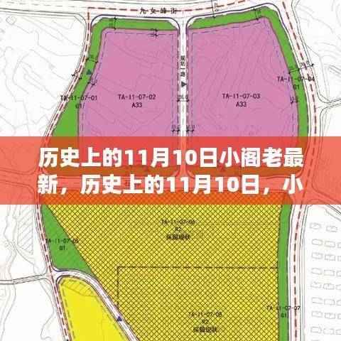 揭秘历史上的小阁老,最新揭秘与事件回顾(日期,11月10日)