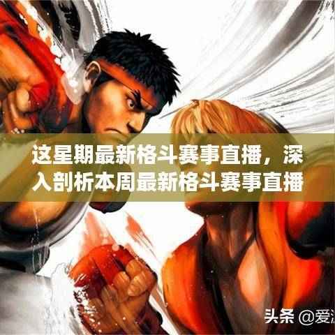 某某视角下的深度观察,本周最新格斗赛事直播解析与感悟