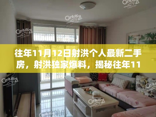 揭秘射洪独家爆料,往年11月12日最新二手房市场动态与独家房源信息