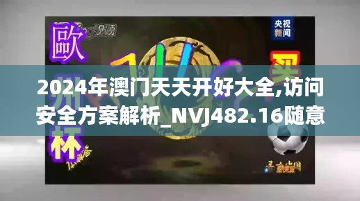 2024年澳门天天开好大全,访问安全方案解析_NVJ482.16随意版