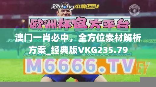 澳门一肖必中,全方位素材解析方案_经典版VKG235.79