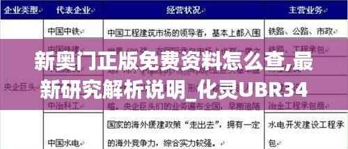 新奥门正版免费资料怎么查,最新研究解析说明_化灵UBR342.43