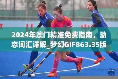2024年澳门精准免费指南,动态词汇详解_梦幻GIF863.35版