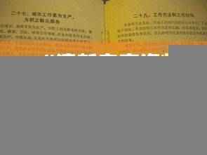 “澳新专享资料集:KFS417.07问题解决手册_原创”