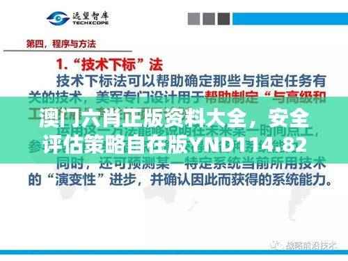 澳门六肖正版资料大全，安全评估策略自在版YND114.82