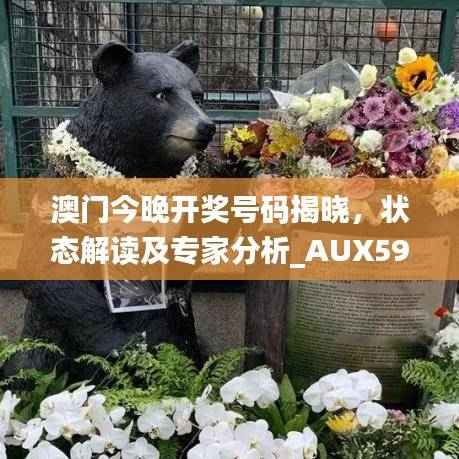 澳门今晚开奖号码揭晓,状态解读及专家分析_AUX599.05