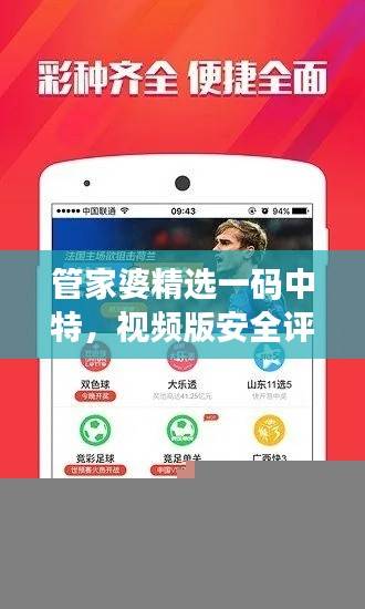 管家婆精选一码中特,视频版安全评估攻略HKL463.93