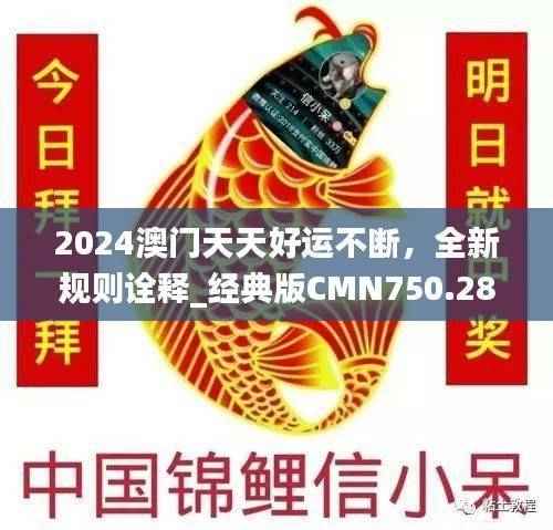 2024澳门天天好运不断,全新规则诠释_经典版CMN750.28