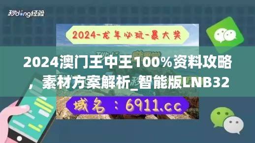 2024澳门王中王100%资料攻略，素材方案解析_智能版LNB323.8