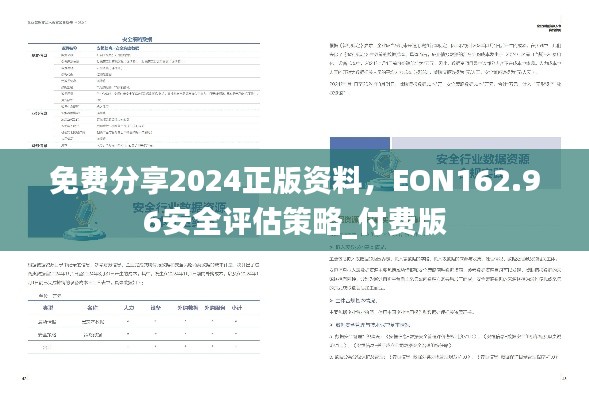 免费分享2024正版资料,EON162.96安全评估策略_付费版