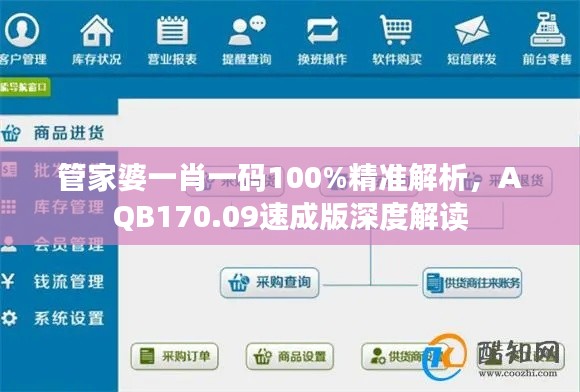 管家婆一肖一码100%精准解析,AQB170.09速成版深度解读