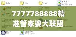 7777788888精准管家婆大联盟特色,专业执行问题_社交版LJG936.91