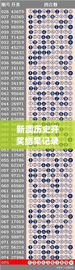 新澳历史开奖结果记录大全最新,投资回收期_散丹RWY92.09