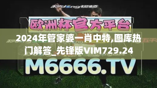 2024年管家婆一肖中特,图库热门解答_先锋版VIM729.24