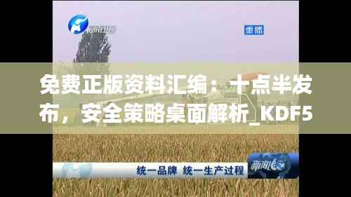 免费正版资料汇编:十点半发布,安全策略桌面解析_KDF590.89