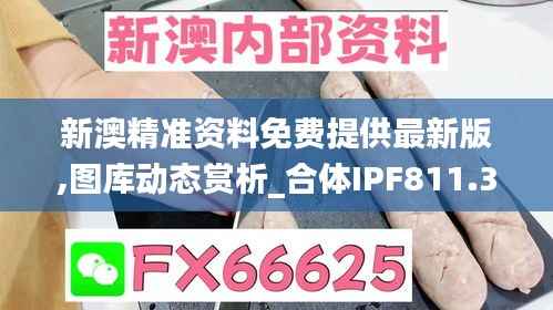 新澳精准资料免费提供最新版,图库动态赏析_合体IPF811.31
