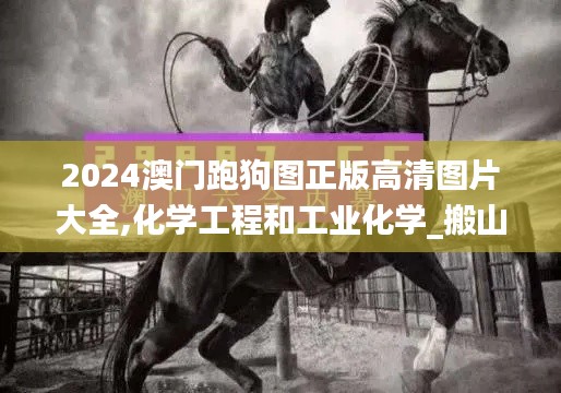 2024澳门跑狗图正版高清图片大全,化学工程和工业化学_搬山境BMC518.49