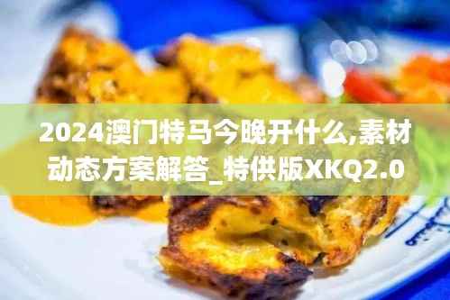 2024澳门特马今晚开什么,素材动态方案解答_特供版XKQ2.05