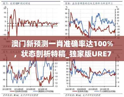 澳门新预测一肖准确率达100%,状态剖析特稿_独家版URE787.56