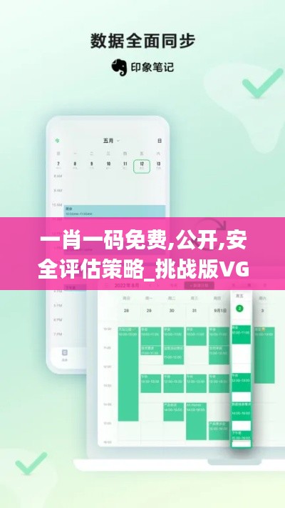 一肖一码免费,公开,安全评估策略_挑战版VGM929.74