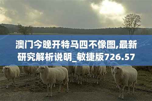 澳门今晚开特马四不像图,最新研究解析说明_敏捷版726.57