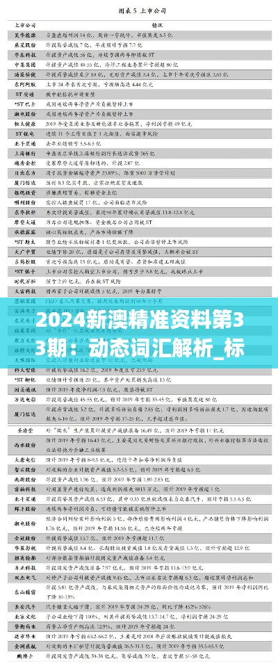 2024新澳精准资料第33期:动态词汇解析_标准版XAB364.15