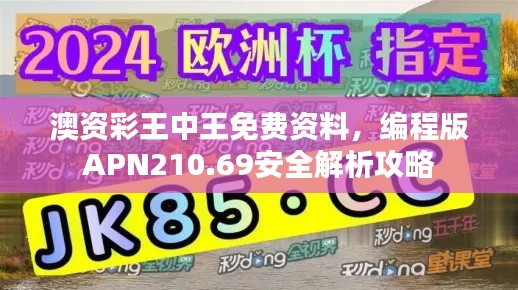 澳资彩王中王免费资料,编程版APN210.69安全解析攻略
