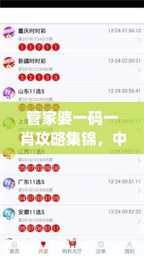 管家婆一码一肖攻略集锦，中级安全解码策略_KZN847.32