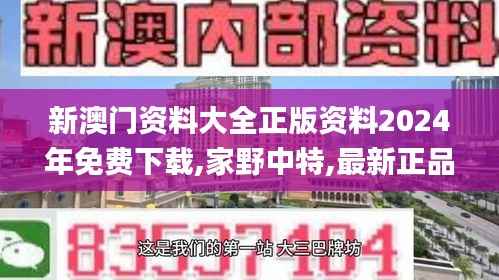 新澳门资料大全正版资料2024年免费下载,家野中特,最新正品解答定义_精华版49.72