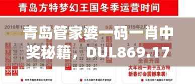 青岛管家婆一码一肖中奖秘籍,DUL869.17神器解析精选