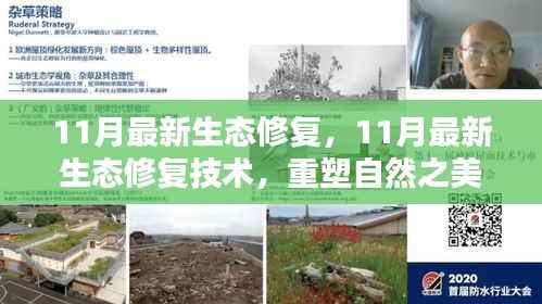 揭秘,最新生态修复技术重塑自然之美的秘密武器,11月最新进展报告