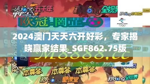2024澳门天天六开好彩,专家揭晓赢家结果_SGF862.75版