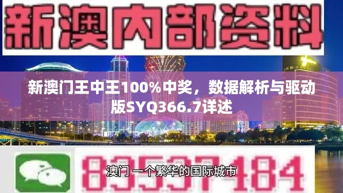 新澳门王中王100%中奖,数据解析与驱动版SYQ366.7详述