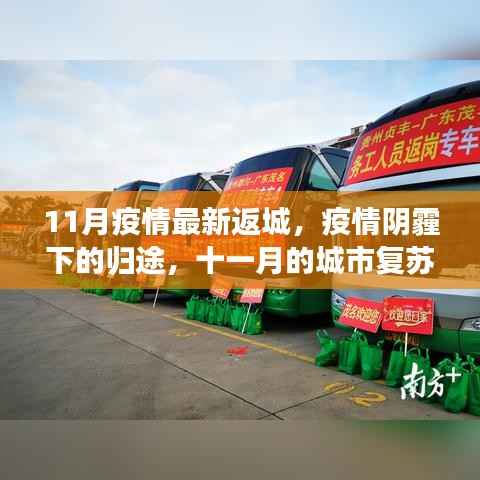 11月疫情返城最新动态,城市复苏之旅的挑战与希望