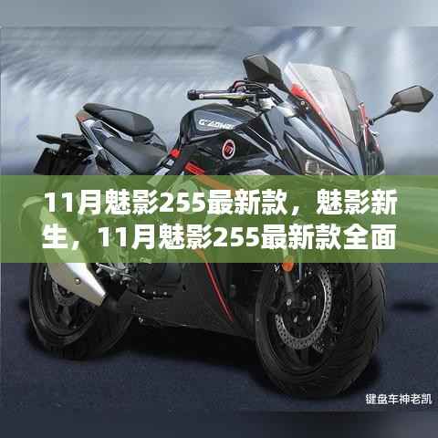 11月魅影255最新款全面解析,新生魅力揭秘