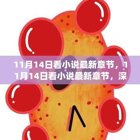 11月14日看小说最新章节,深度探讨网络小说的利弊