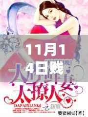 11月14日贱妻最新章节,深度评测与详细介绍