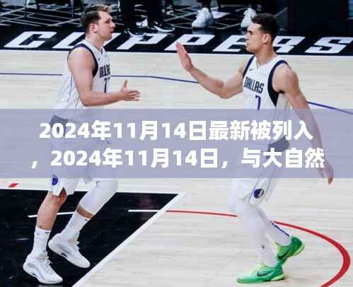 与大自然共舞的日子,一场寻找内心平静的奇妙旅行——纪念新列入日期,2024年11月14日