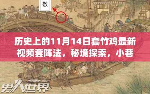 历史上的11月14日套竹鸡最新视频揭秘,探索秘境与小巷深处的套阵传奇