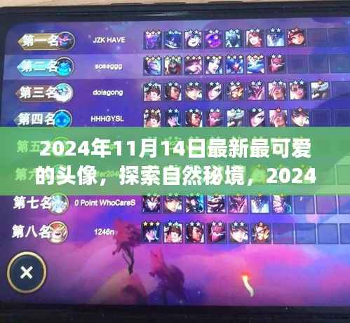探索自然秘境,最新最可爱的头像引领心灵之旅